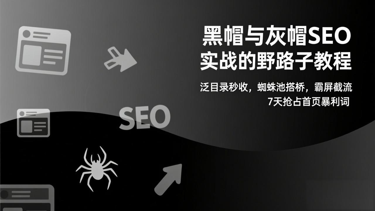 黑帽与灰帽SEO实战的野路子教程：泛目录秒收，蜘蛛池搭桥，霸屏截流，7天抢占首页暴利词-白蛇网赚-余宽网创