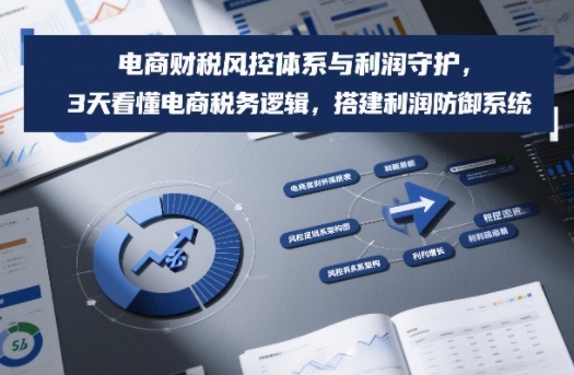 电商财税风控体系与利润守护，3天看懂电商税务逻辑，搭建利润防御系统-白蛇网赚-余宽网创