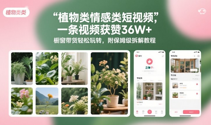 植物类情感类短视频，一条视频获赞36W+，橱窗带货轻松玩转，附保姆级拆解教程-白蛇网赚-余宽网创