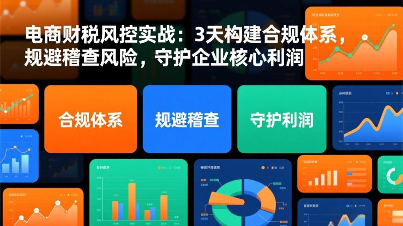 电商财税风控实战:3天构建合规体系,规避稽查风险,守护企业核心利润-白蛇网赚-余宽网创