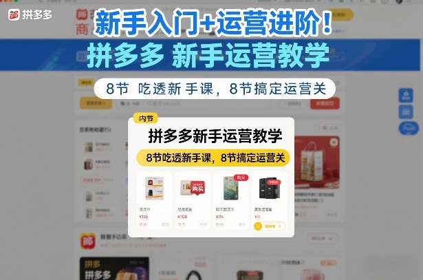 新手入门+运营进阶！拼多多新手运营教学，8节吃透新手课，8节搞定运营关-白蛇网赚-余宽网创