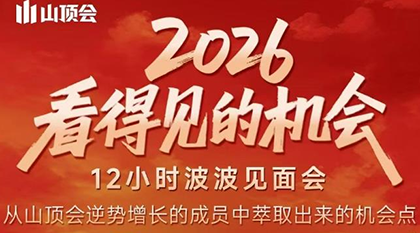 波波·2026看得见的机会12小时波波见面会(东莞线下课2月1日)-白蛇网赚-余宽网创