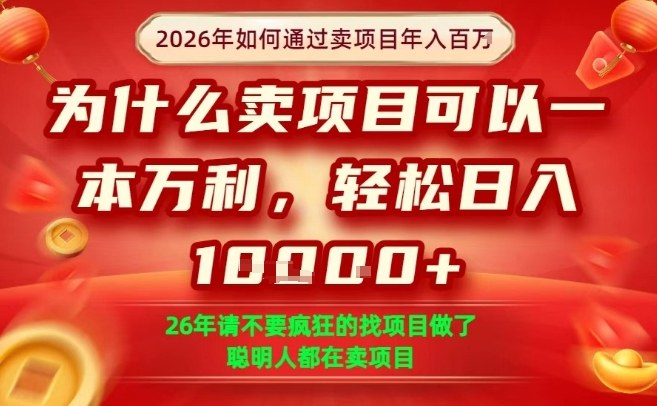 一单净利润1K+,26年想年入100个W,死磕卖项目就够了【揭秘】-白蛇网赚-余宽网创