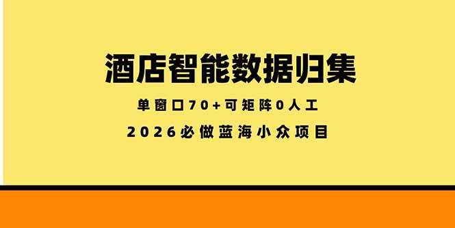 （18500期）酒店智能数据归集，小众蓝海已经稳定半年之久，单窗口70+零成本矩阵开干-余宽网创