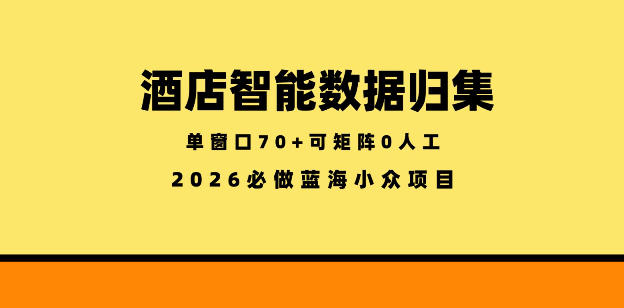 酒店智能数据归集,小众蓝海已经稳定半年之久,单窗口70+零成本矩阵开干【揭秘】-余宽网创
