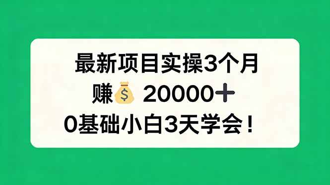 （17856期）最新项目实操3个月，赚钱20000+，0基础小白3天学会！-余宽网创